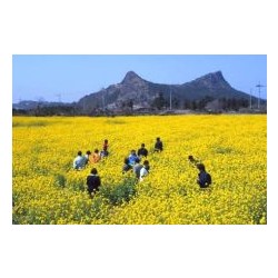 농기구임대업 농약살포업 농업 임업 원예용 해충구제업 농업서비스업