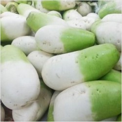 무우